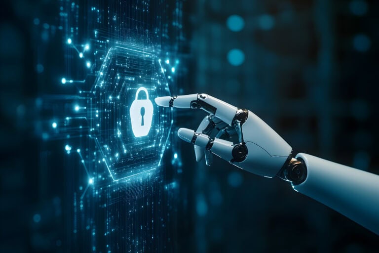Safeguarding Privacy in the Era of Artificial Intelligence