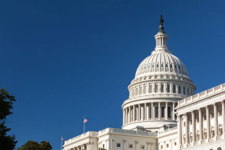 El Toro’s Guide to Targeted Political Advertising in 2024